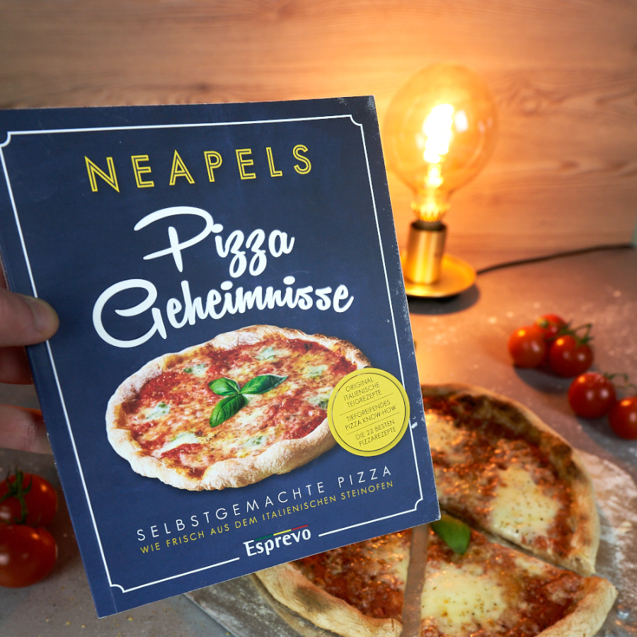 bestes pizza kochbuch